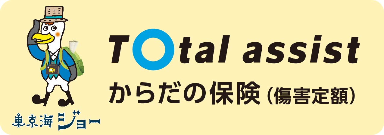 Total assist 炾̕یiQzj