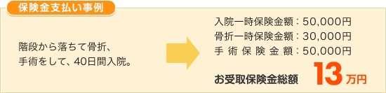 �K�i���痎���č��܁A��p�����āA40���ԓ��@�B���@�ی����ƍ��܈ꎞ�ی����A��p�ی����̂����ی������z17���~